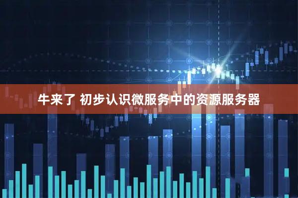 牛来了 初步认识微服务中的资源服务器
