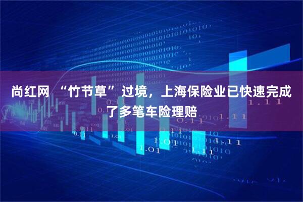 尚红网  “竹节草” 过境，上海保险业已快速完成了多笔车险理赔