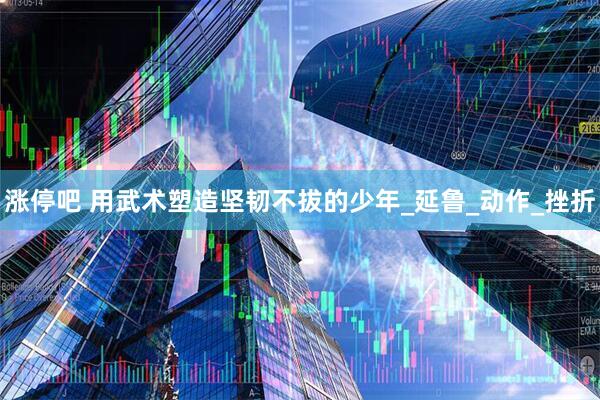 涨停吧 用武术塑造坚韧不拔的少年_延鲁_动作_挫折