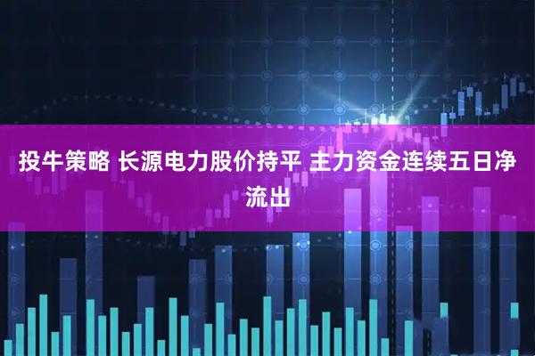 投牛策略 长源电力股价持平 主力资金连续五日净流出