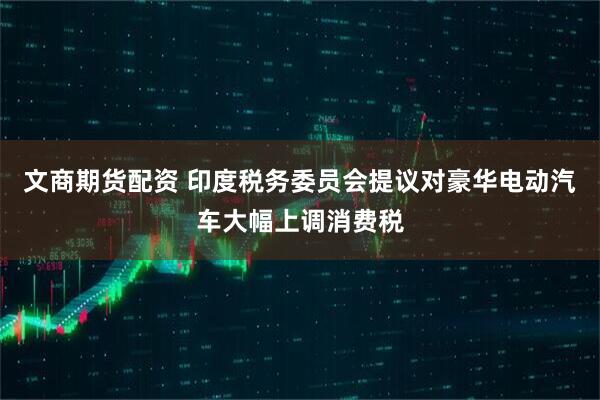 文商期货配资 印度税务委员会提议对豪华电动汽车大幅上调消费税