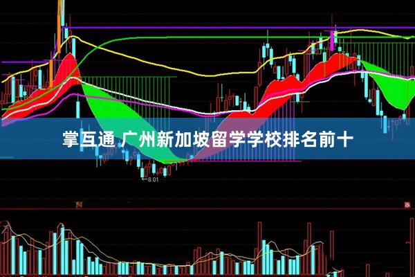 掌互通 广州新加坡留学学校排名前十