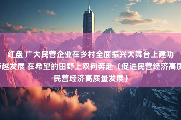 红盘 广大民营企业在乡村全面振兴大舞台上建功立业、跨越发展 在希望的田野上双向奔赴（促进民营经济高质量发展）